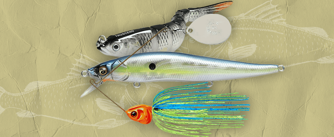 Best Bass Lures for a Successful Fishing