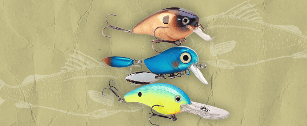 Best Crankbaits for Bass - The Secret to Caught