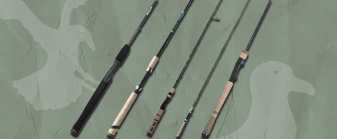 Best Fly Rod for Trout Fishing - Top Choices