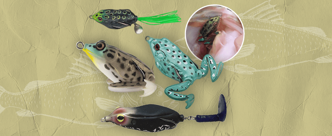 Best Frog Lures for Bass - Catch More Fish