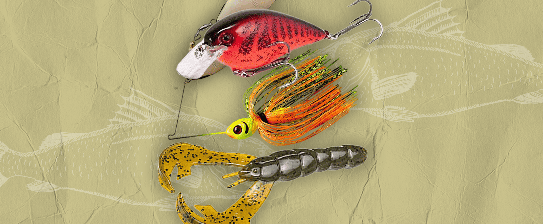 Best Lure Color for Muddy Water - Top Picks