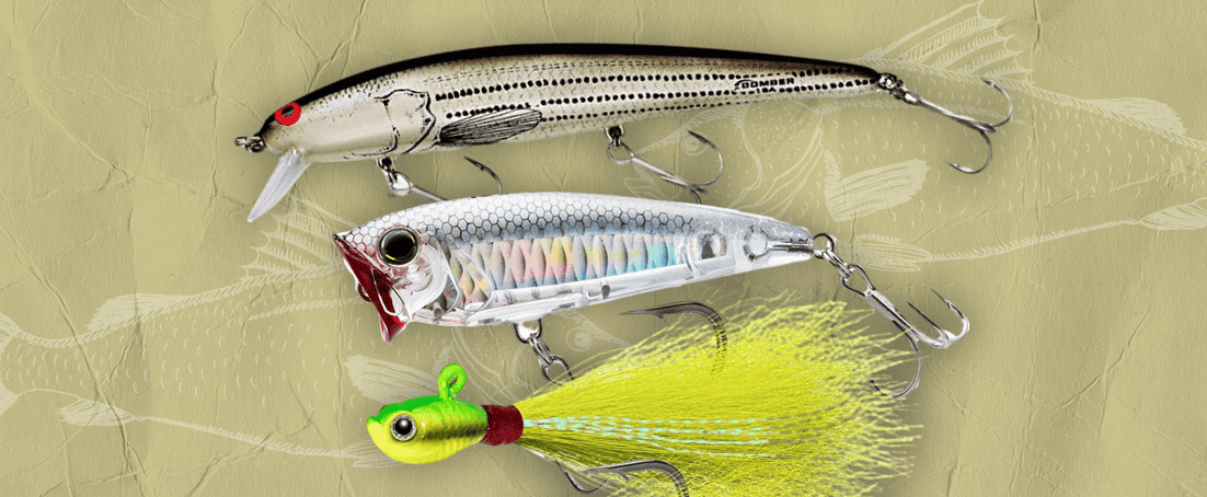 Our top 3 lures for striped bass fishing