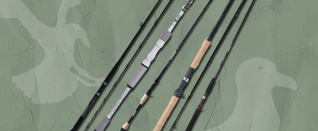 Best Musky Rods for Your Upcoming Trip
