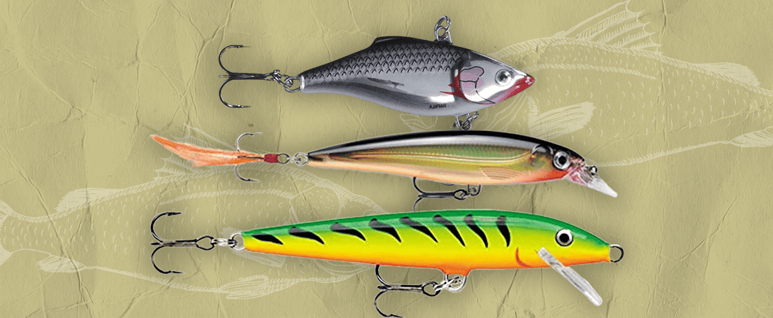 Best Rapala for Bass - The Classic Never Fails