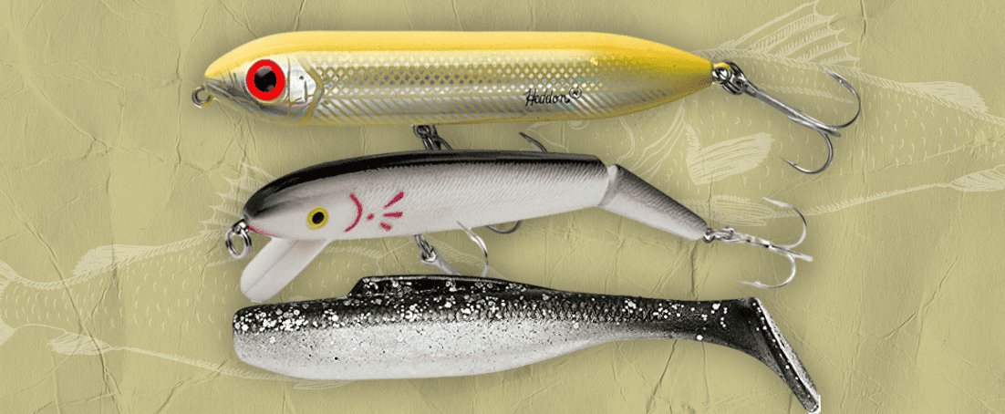 Best Redfish Lures for Easiest Prey Every day