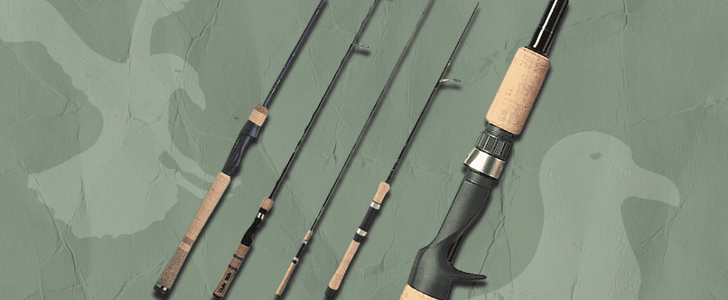 Best Salmon Fishing Rods for the Pro Angler