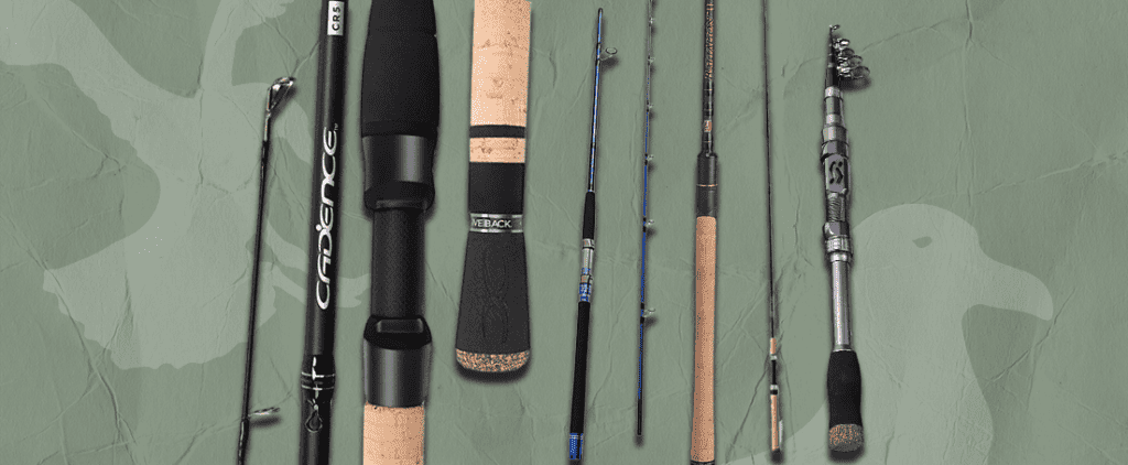 Best Saltwater Fishing Rods for the Next Season