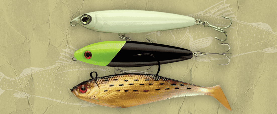Best Snook Lures You Must Have