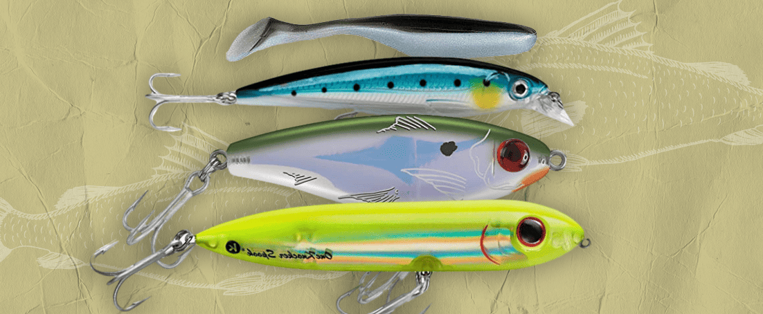 Best Speckled Trout Lures on the Market