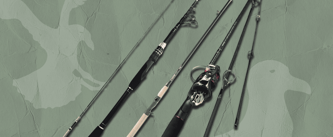 Best Travel Fishing Rods for the Perfect Catch