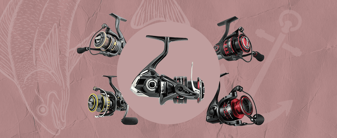Best Trout Spinning Reels - Top Choices