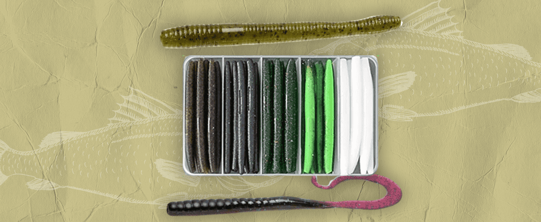 Best Worms for Bass to Hook the Big Ones