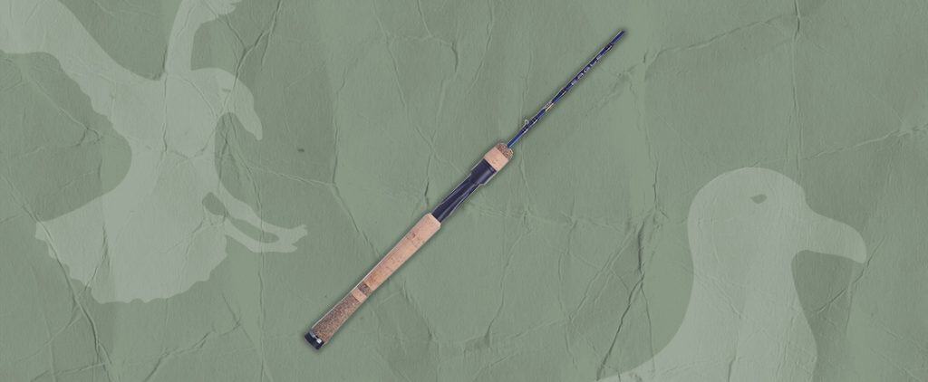 Fenwick Eagle Spinning Fishing Rod