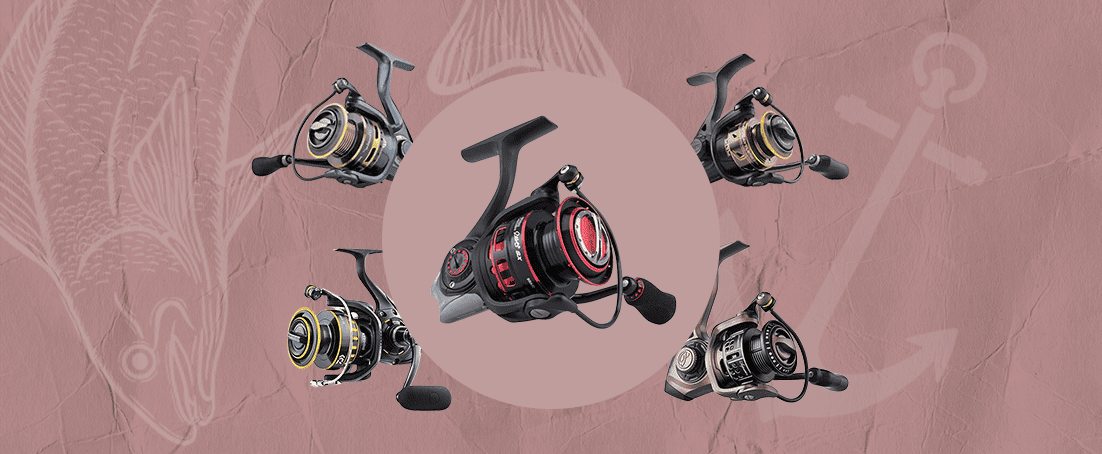 best spinning reels for bass