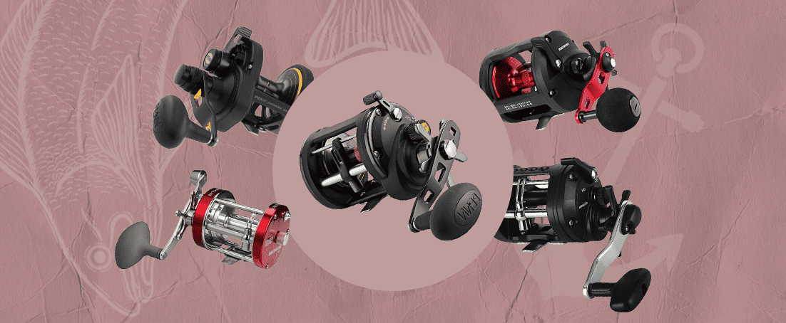 Best Conventional Reels