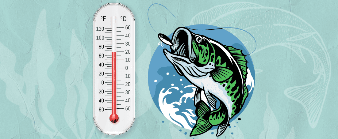 best water temp for bass fishing