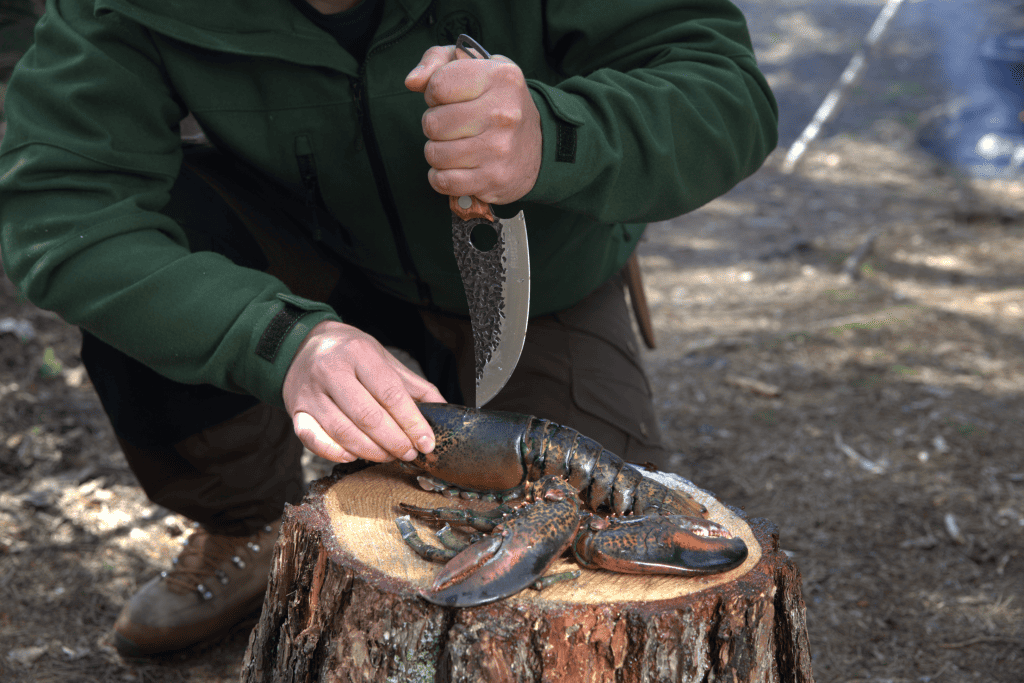 Huusk knife review: preparing lobster