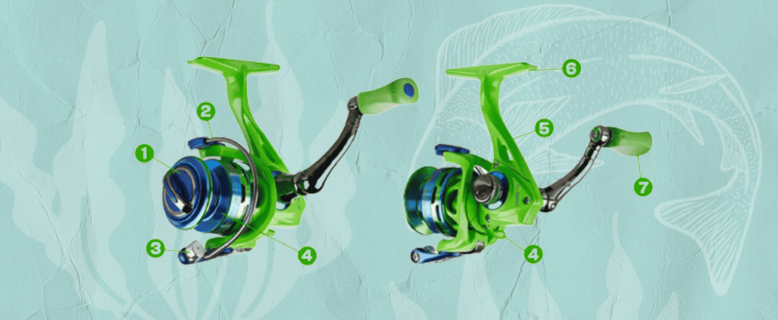 parts of a spinning reel - introduction for beginners