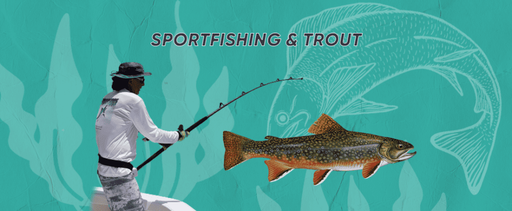 sportfishing trout - inseparable things