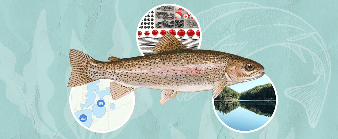 trout fishing for beginners - expert tips and tricks