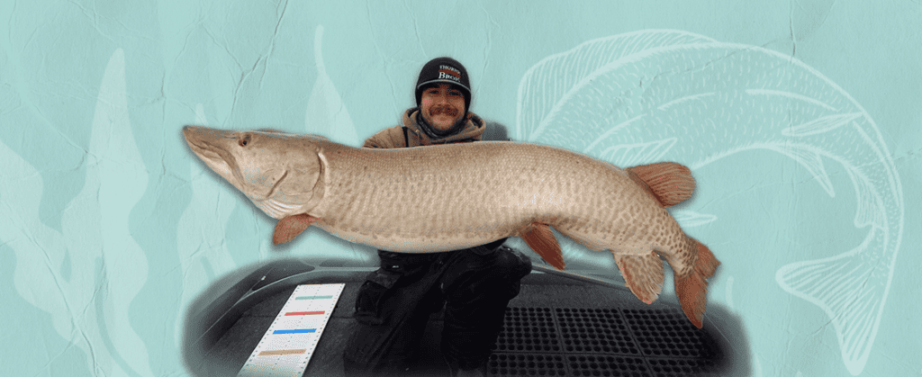 Muskie