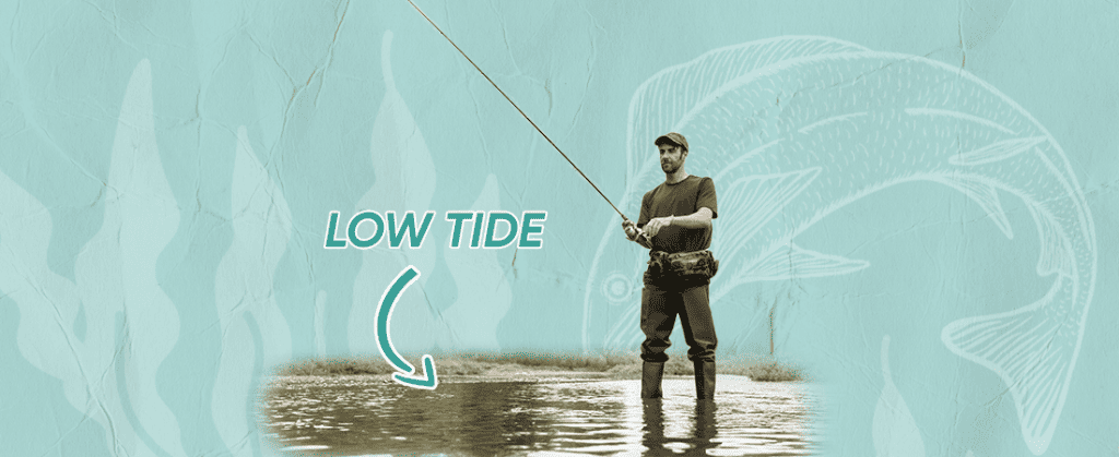 how to fish in low tide