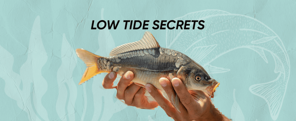 low tide fishing tips